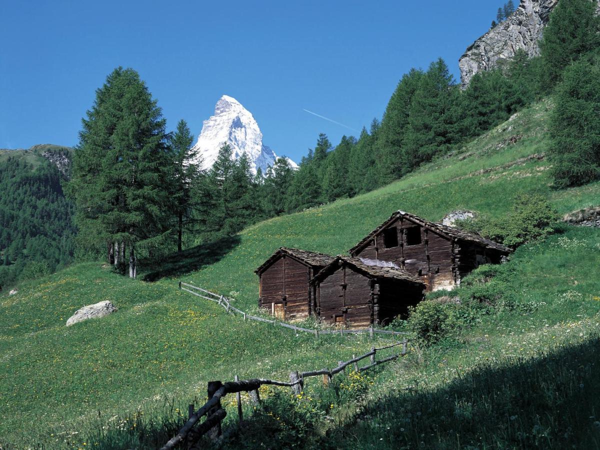 Apartment Haus Rollin Zermatt Exterior foto